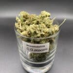 lemon cherry gelato popcornLemon Cherry Gelato Popcorn indica dominant hybrid dried cannabis flower buds