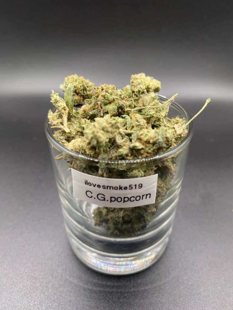 lemon cherry gelato popcornLemon Cherry Gelato Popcorn indica dominant hybrid dried cannabis flower buds
