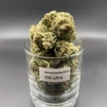 MK Ultra Indica Dominant Hybrid dried cannabis flower buds