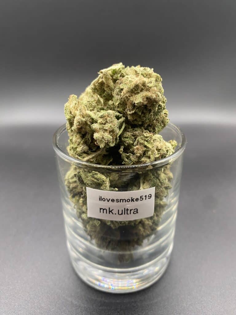 MK Ultra Indica Dominant Hybrid dried cannabis flower buds