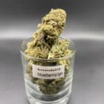 Blueberry Kush GH indica dried cannabis flower buds