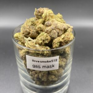 Gas Mask Popcorn indica dominant hybrid dried cannabis flower buds