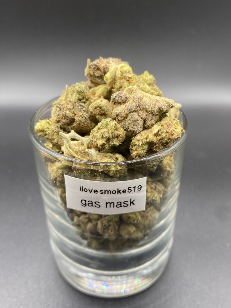 Gas Mask Popcorn indica dominant hybrid dried cannabis flower buds