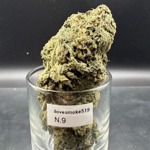Close-up view of N.9 cannabis flower buds showing a hand-trimmed finish and natural structure.