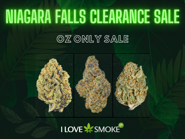 Niagara Falls Clearance Sale ounce flower Kimbo Kush Hawaiian Rain Bruce Banner FOG Garry Patron at I LOVE SMOKE 519