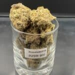 Purple Goo cannabis flower buds with a hand-trimmed finish and well-formed structure.