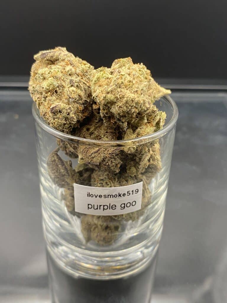 Purple Goo cannabis flower buds with a hand-trimmed finish and well-formed structure.