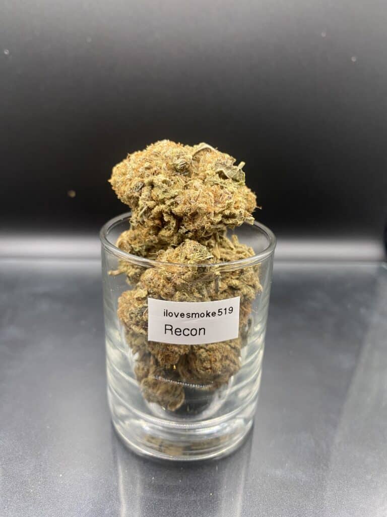 Hand-trimmed Recon OG cannabis flower buds with a clean structure and natural appearance.