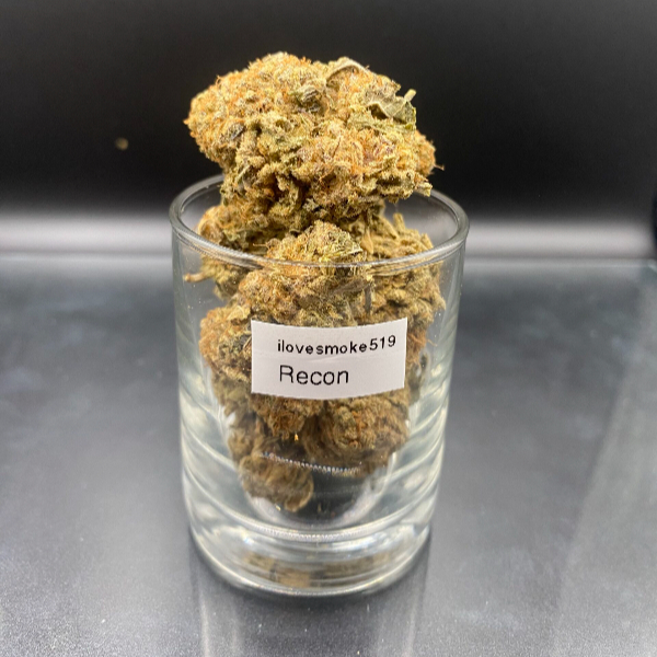 Hand-trimmed Recon OG cannabis flower buds with a clean structure and natural appearance.