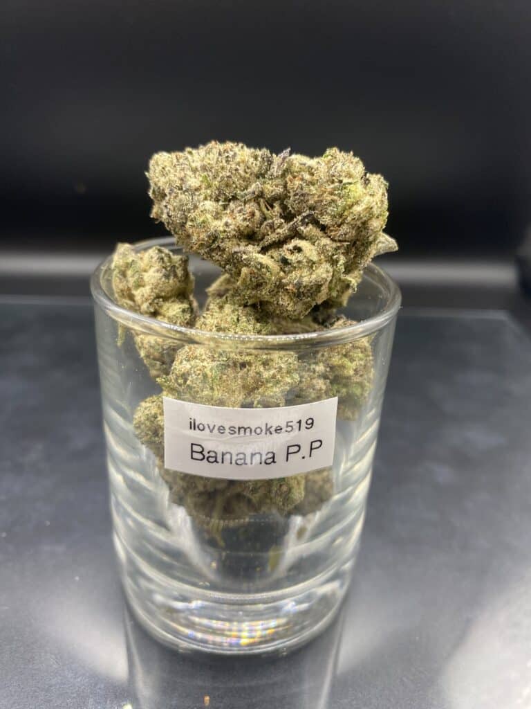 Banana Purple Punch cannabis flower buds with a hand-trimmed finish and defined structure.