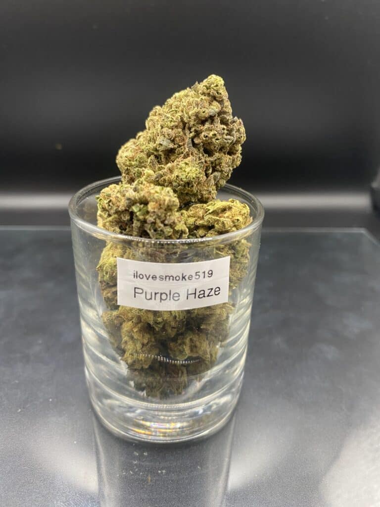 Purple Haze cannabis flower buds with a hand-trimmed finish and defined natural structure.