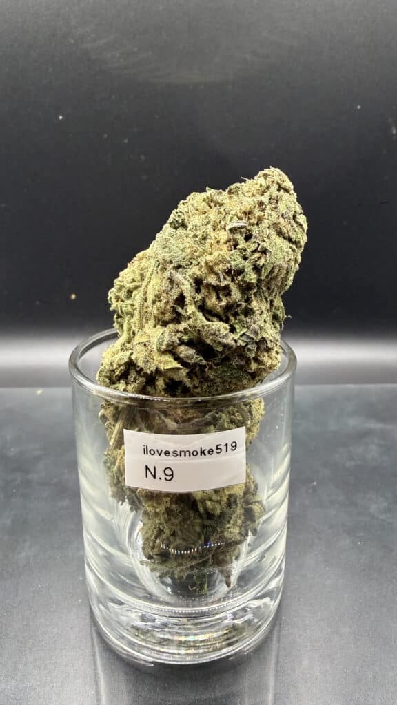 Close-up view of N.9 cannabis flower buds showing a hand-trimmed finish and natural structure.
