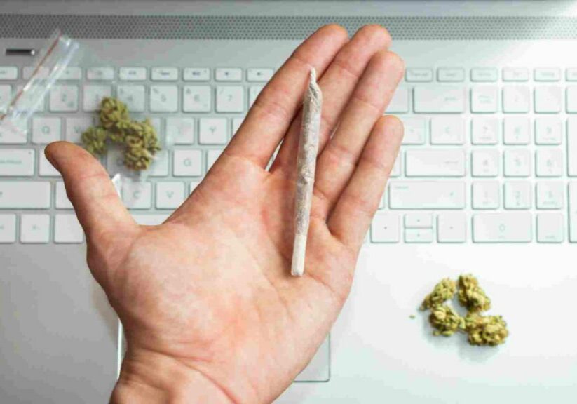 buying weed online how to choose the best